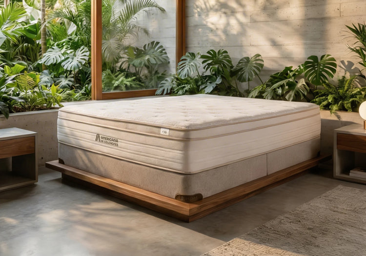 Línea Wellness