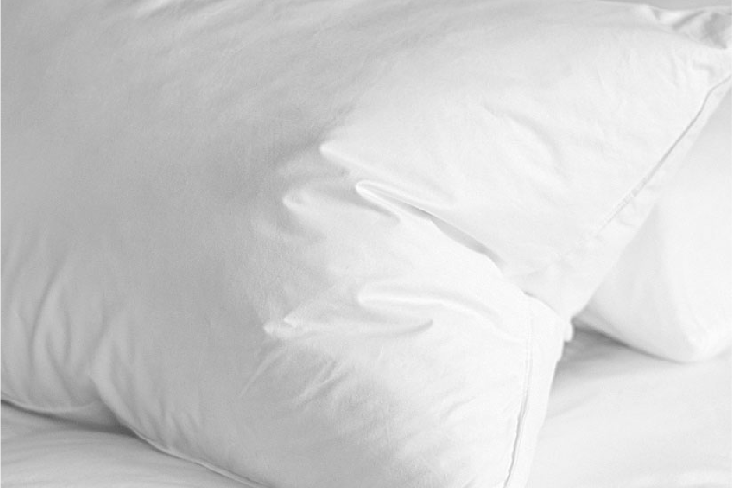 ALMOHADA PLUMA DE PATO