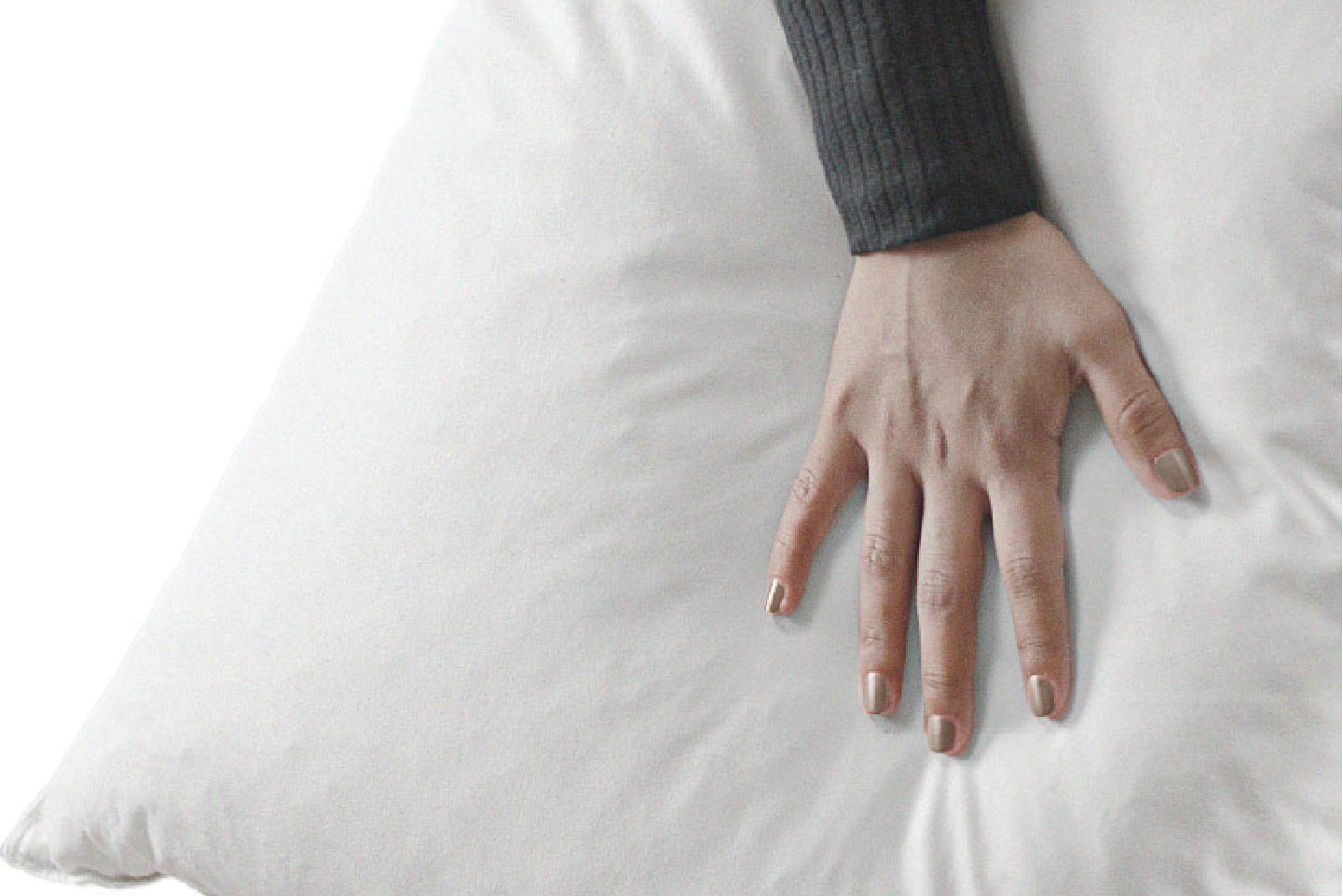 ALMOHADA PLUMA DE PATO