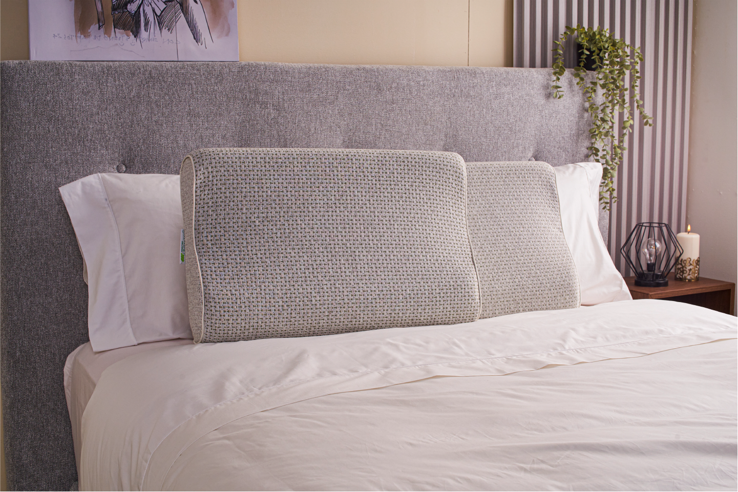 ALMOHADA DELPHINE FLOR AZAH PUROTEX