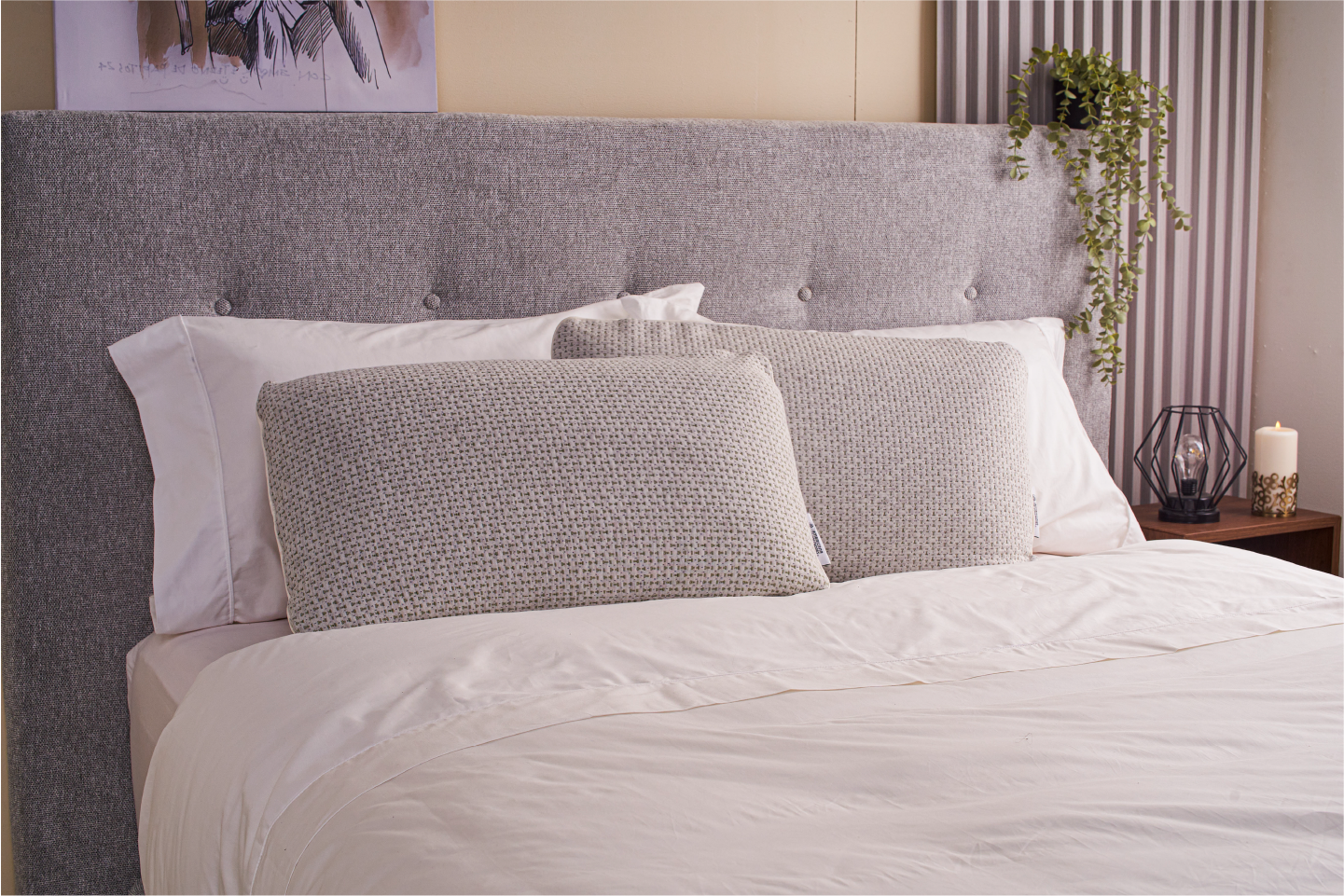 ALMOHADA SOYA ELIZABETH PUROTEX